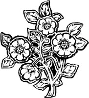 CC003973.WMF