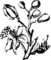 CC003963.WMF