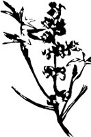 CC003962.WMF