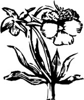 CC003960.WMF