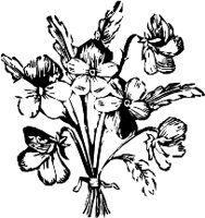 CC003959.WMF