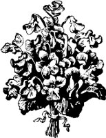 CC003957.WMF