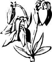 CC003954.WMF