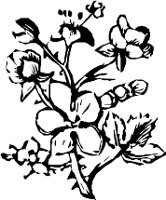 CC003953.WMF