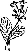 CC003949.WMF