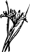 CC003946.WMF