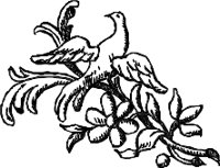 CC003940.WMF
