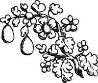 CC003929.WMF
