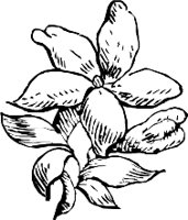 CC003927.WMF