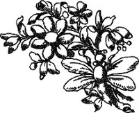 CC003923.WMF