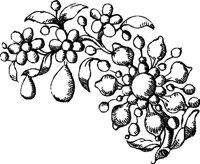 CC003921.WMF