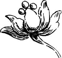 CC003920.WMF