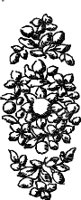 CC003917.WMF