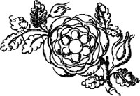 CC003915.WMF