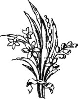 CC003914.WMF