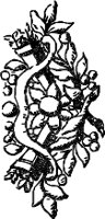 CC003912.WMF