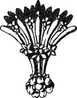 CC003908.WMF