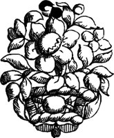CC003907.WMF