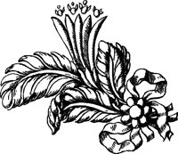 CC003906.WMF