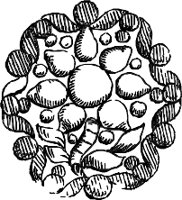 CC003905.WMF