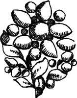 CC003902.WMF