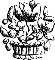 CC003897.WMF