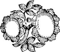 CC003893.WMF