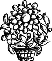 CC003892.WMF