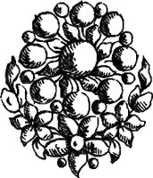 CC003891.WMF