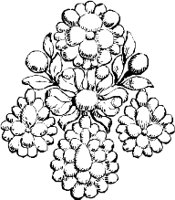 CC003882.WMF