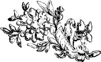 CC003876.WMF