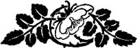 CC003865.WMF