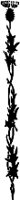 CC003862.WMF