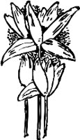 CC003860.WMF