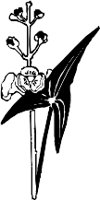 CC003850.WMF