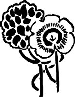 CC003849.WMF