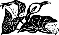 CC003847.WMF