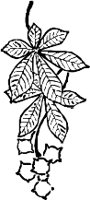 CC003841.WMF
