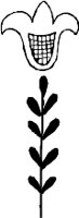 CC003344.WMF