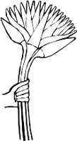 CC002199.WMF