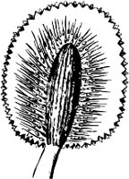 CC000535.WMF