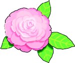 CAMELIA.WMF