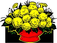 ASTERS.WMF