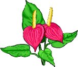 ANTHUR.WMF