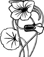 AG000578.WMF