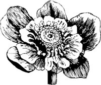 AG000575.WMF