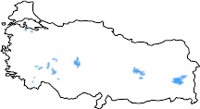 CS003874.WMF
