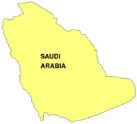 SAUARAB0.WMF