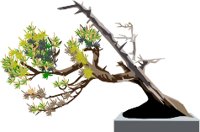 ORIMG001.WMF