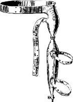 CC001565.WMF